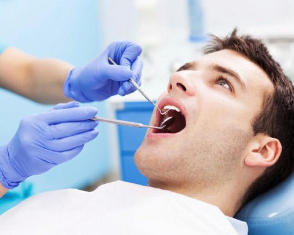 6 بدائل للزراعة بالتكلفة والمزايا