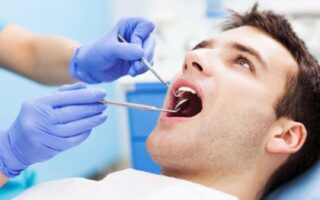 6 بدائل للزراعة بالتكلفة والمزايا